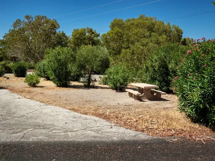 Site 55