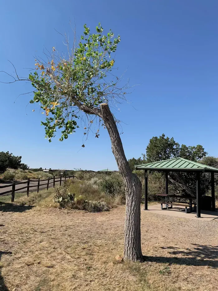Site 21