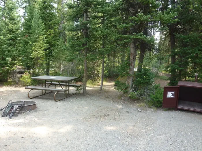 Lewis Lake site #42