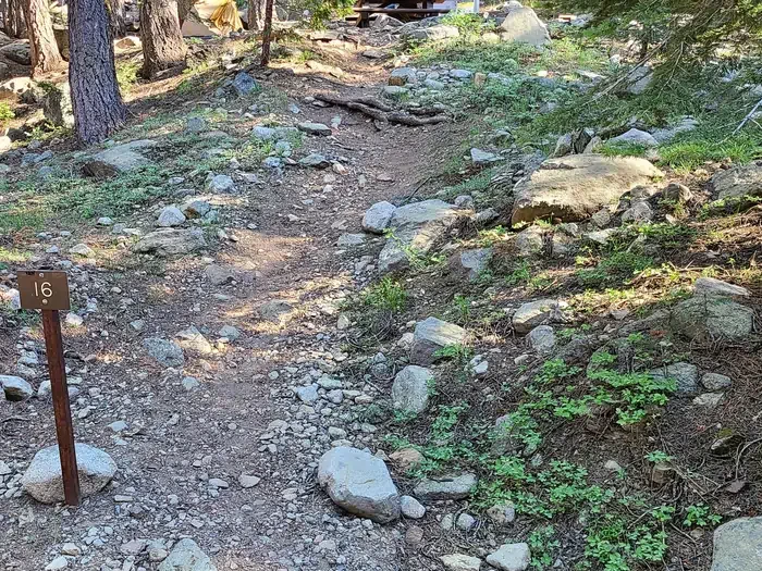 Site: 16