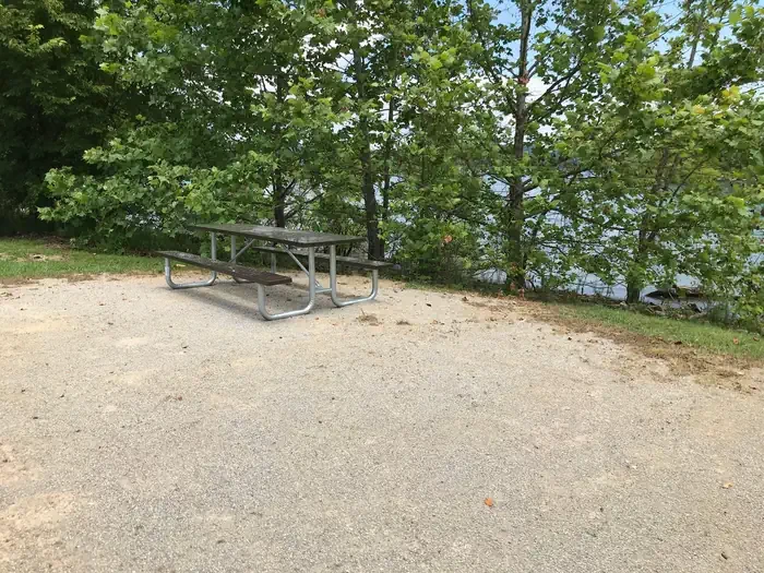 101