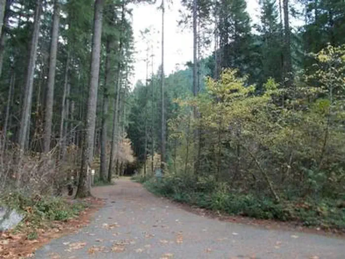 Bogus Creek Campground