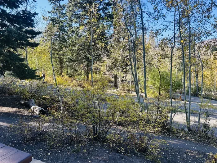 A20