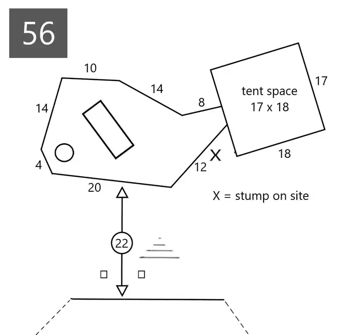 56