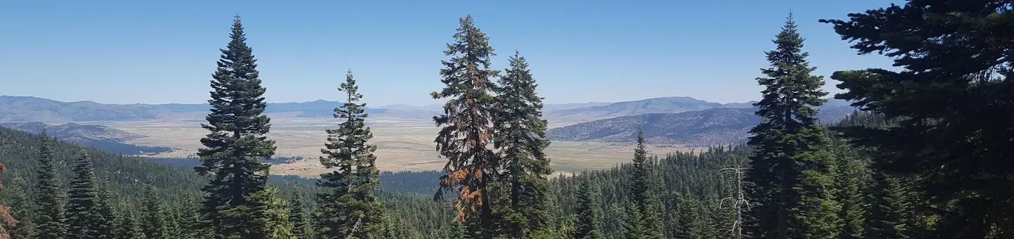 Yuba Pass Campground