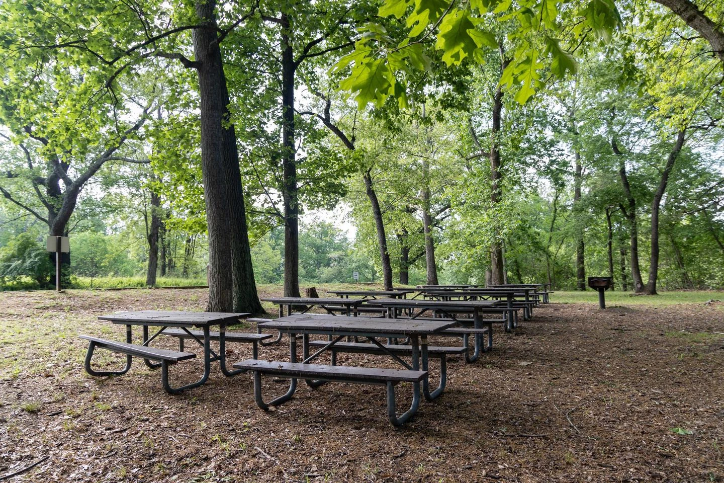 Area D2