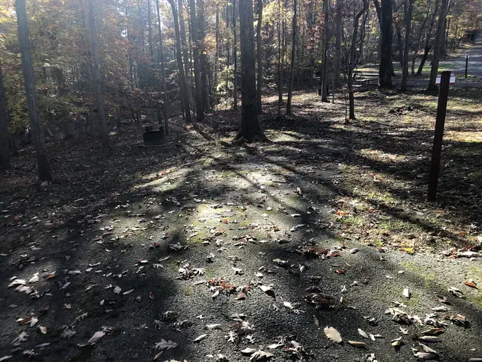 A08