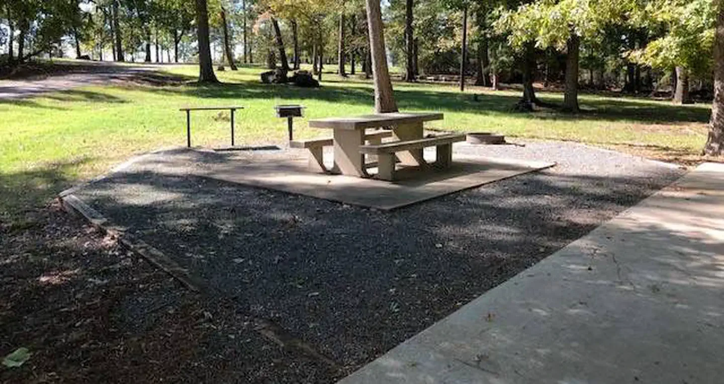 D08