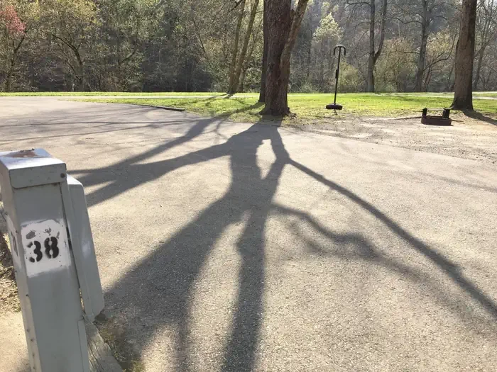38