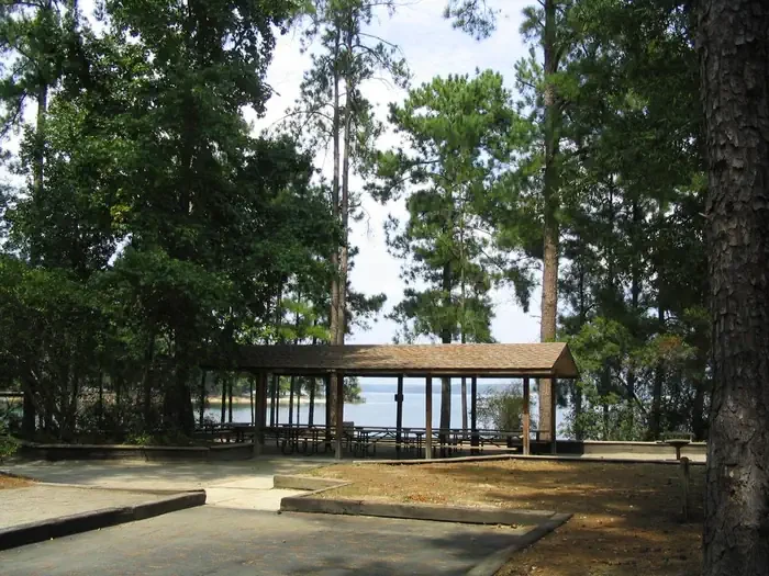 PINE POINT