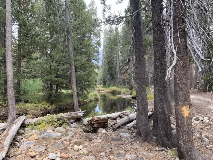 Yosemite Creek Campground