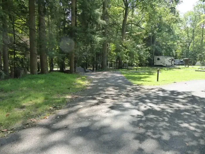 E11