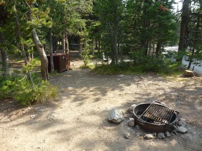 Lewis Lake site #66