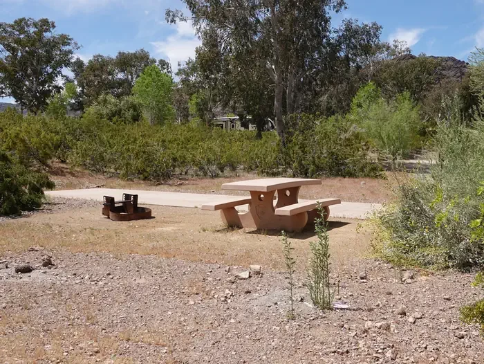 Site 29