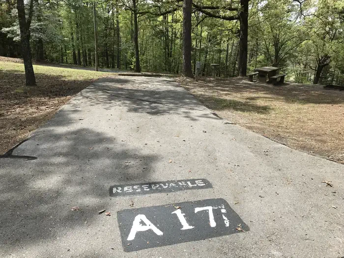 A17