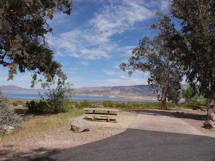 Site 83