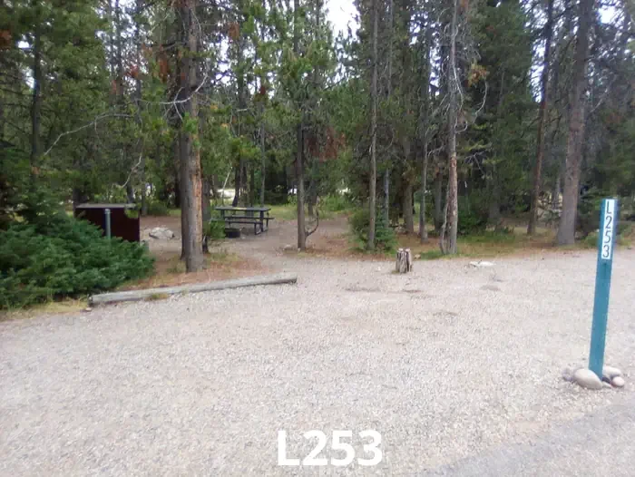 253