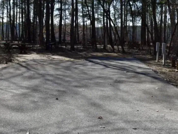 02D