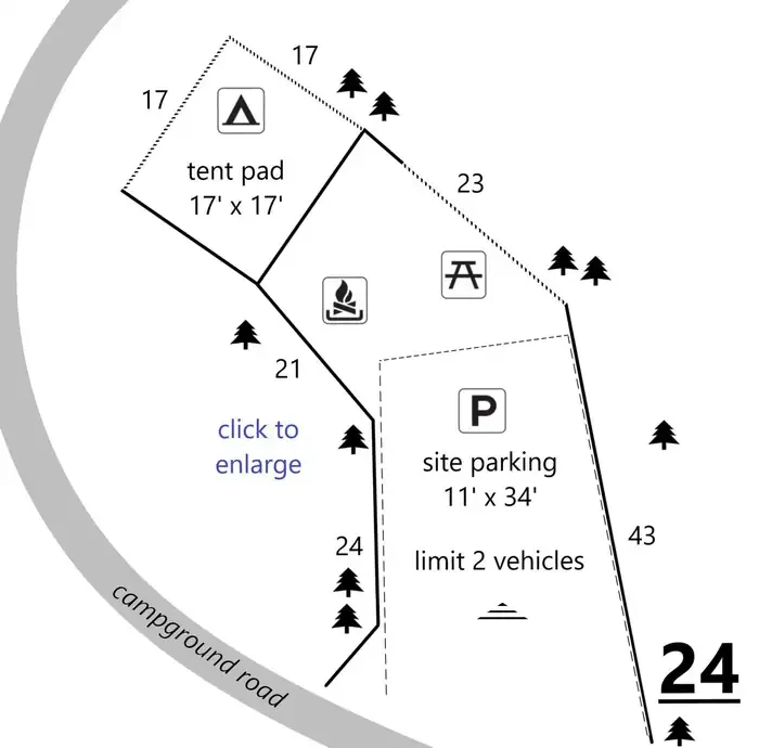 24