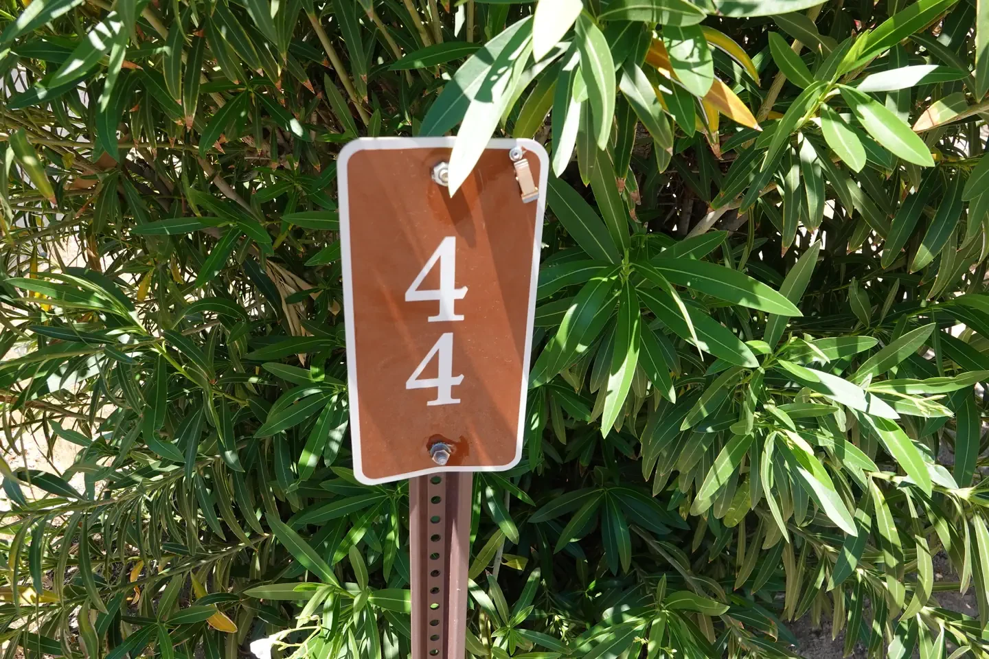 Site 44