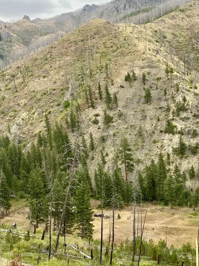 Deer Creek Cabin (mt)