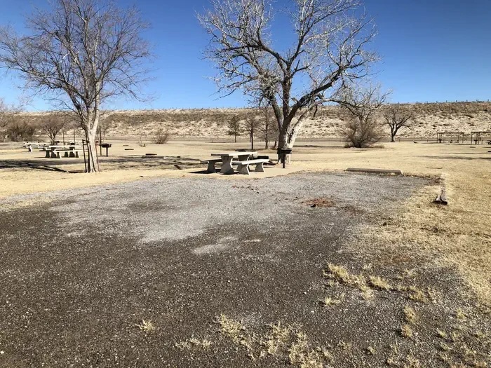 Site 7