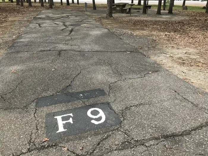 F09