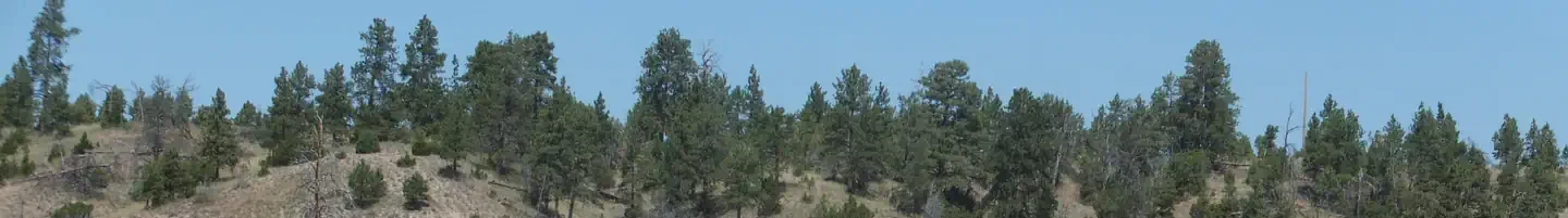 Lewis and Clark Group Use Campsites "A"