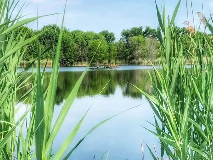 Rend Lake