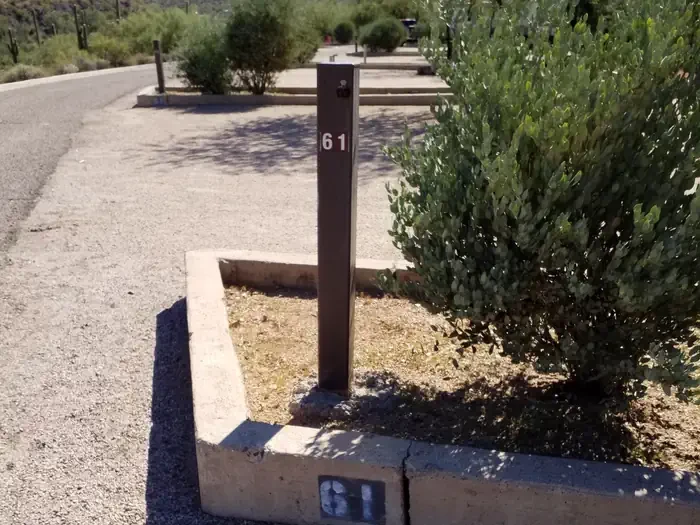 61