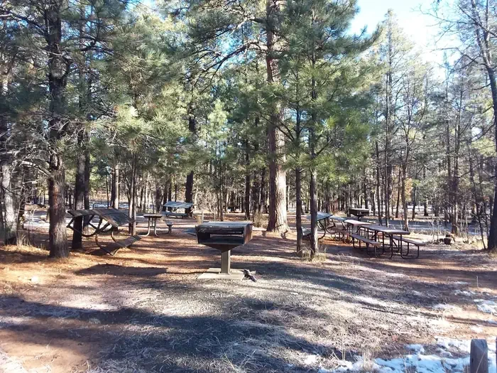 Moqui Group Campground Ernst