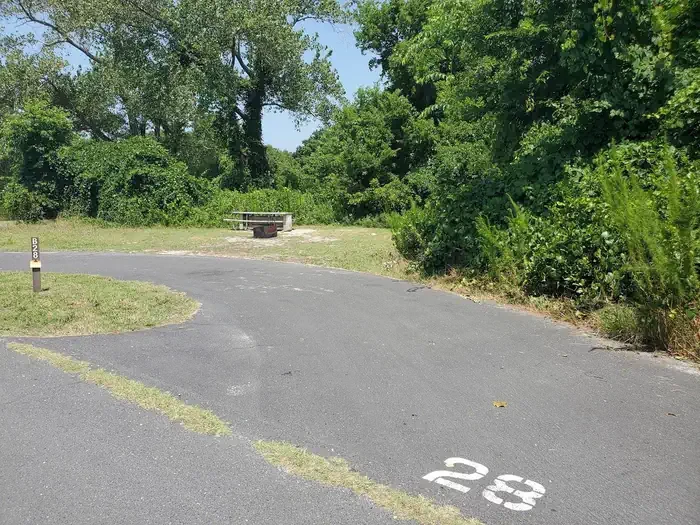 B28