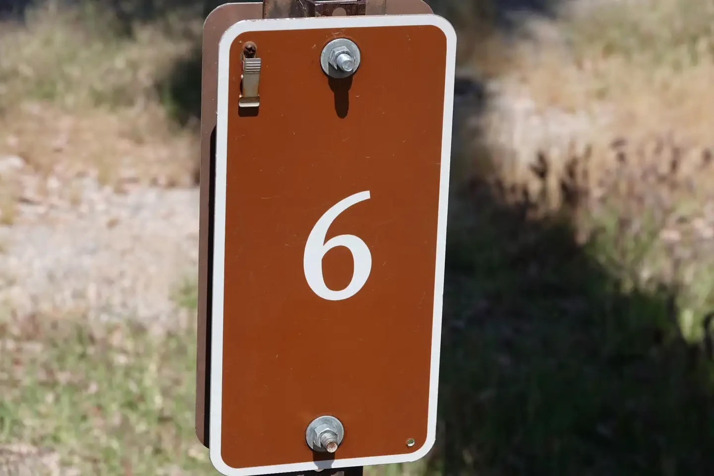 Site 6