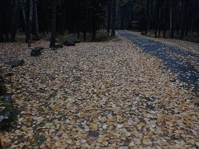 A47