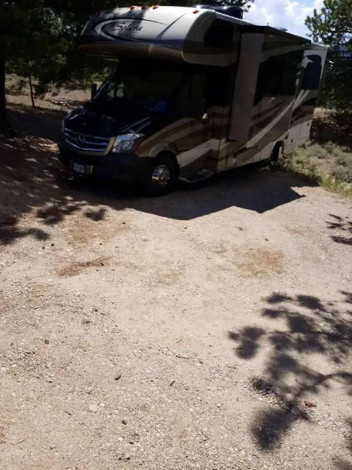E011