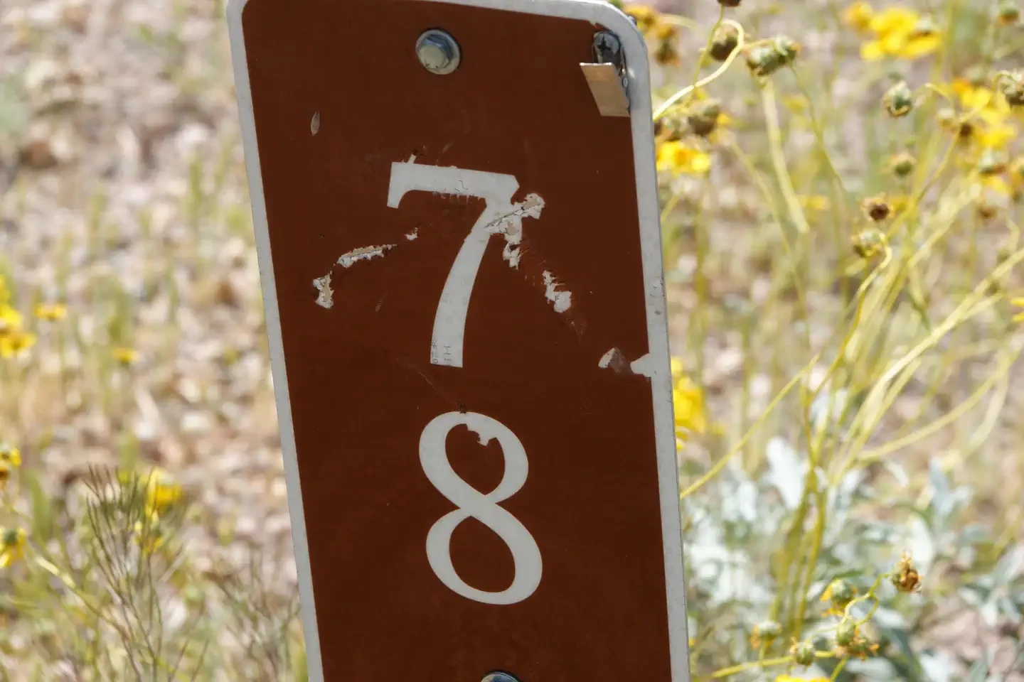 Site 78