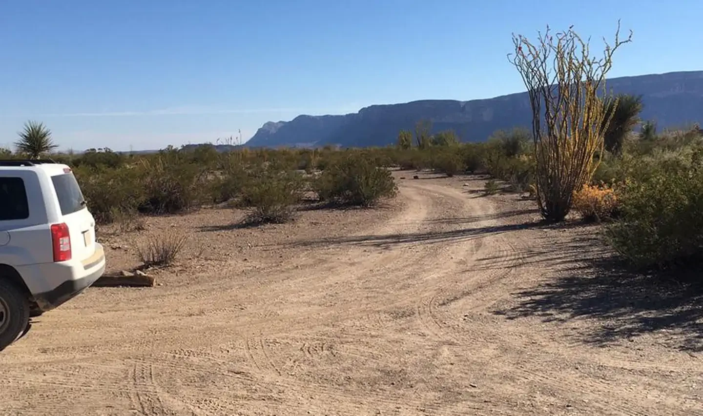 Ocotillo Grove
