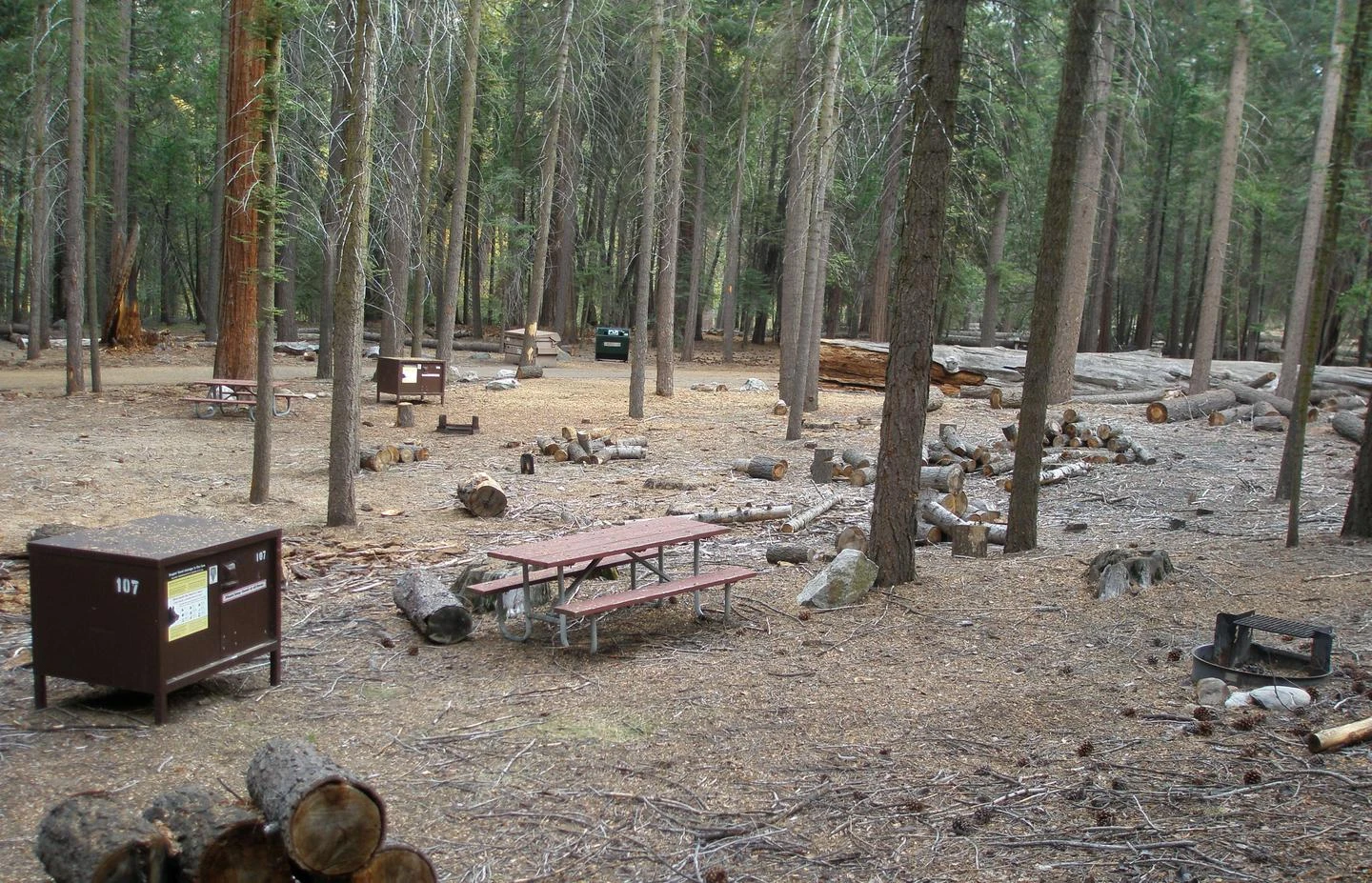 Site: 107