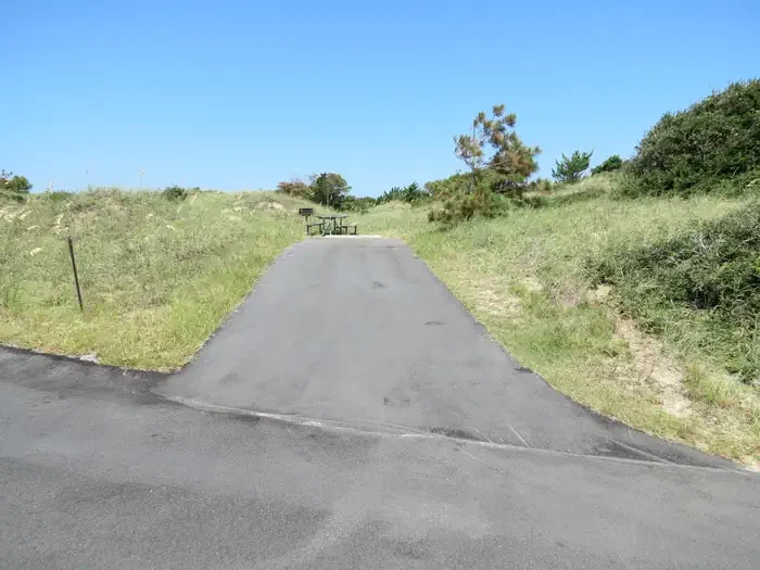 P039