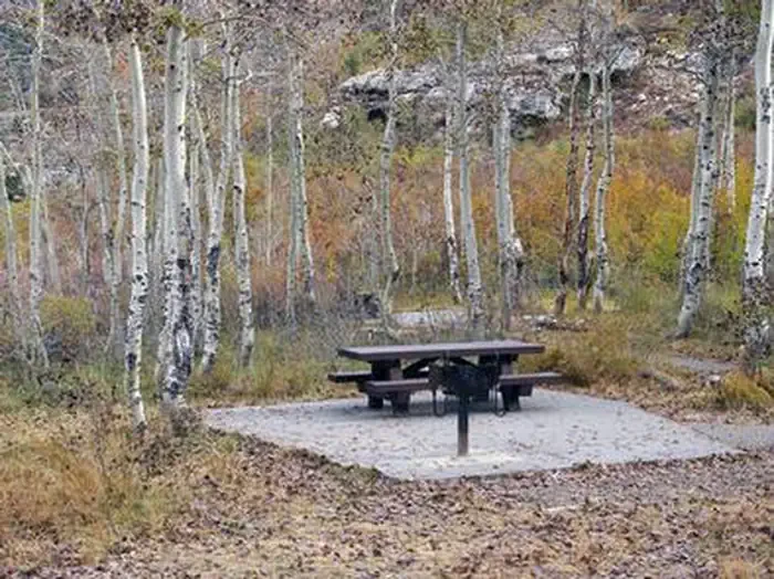Terraces Campground - Picnic Area