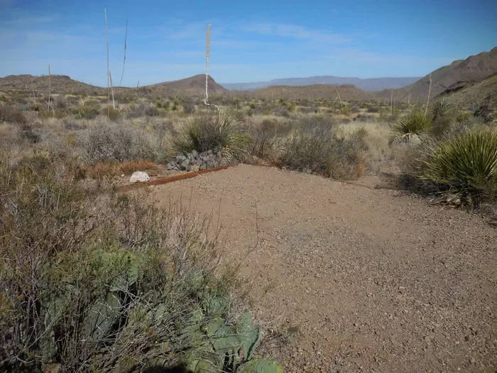 Pine Canyon 4