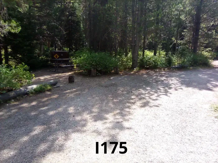 175