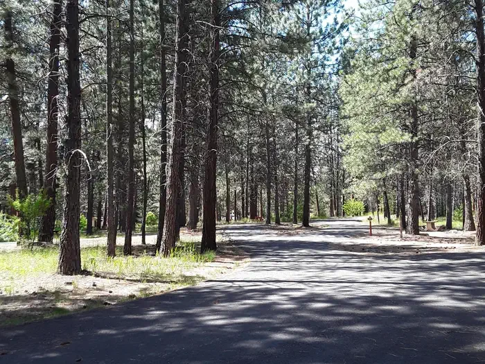 Sloway Campground (MT)