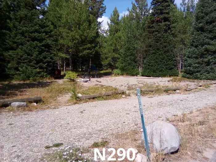 290
