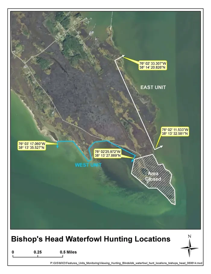 Blackwater National Wildlife Refuge Waterfowl Hunt Permits