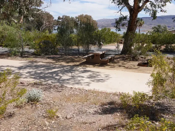 Site 32