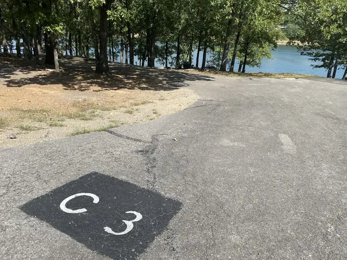 C03