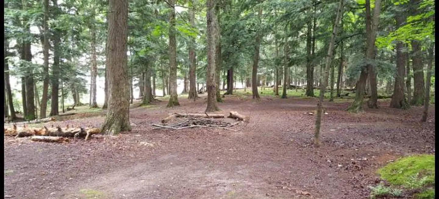 PINE-2