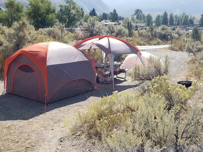 Mammoth site #66