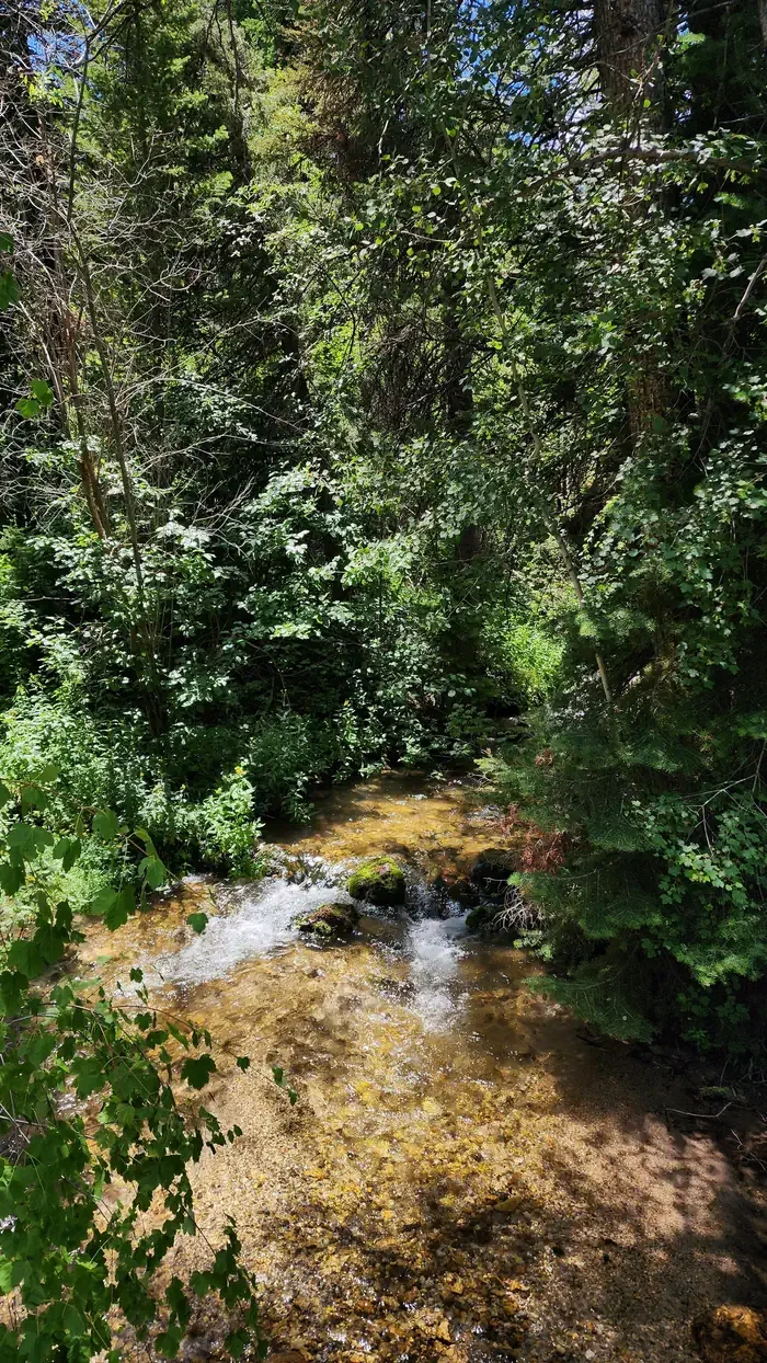 Malad Summit Campground